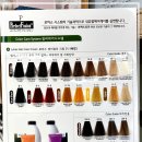 쁘띠헤어살롱(hair salon)