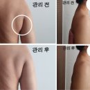 홍보성 Daum카페