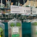 행운냥이 이미지