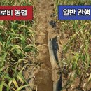 해동농약사