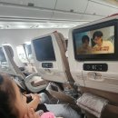 546 | 아시아나 항공 인천-프라하 직항 OZ545/OZ546편 기내식, 탑승 후기