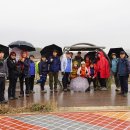 경기둘레길 시흥54코스 이미지