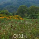 사랑의언덕 이미지