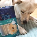 덴탈링크 | 강아지 덴탈껌 | 댕댕야시장 츄러스 후기