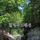 힐링우드 이미지