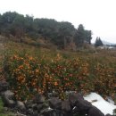 운성농장 이미지