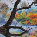 주왕산약국 | ○청송여행 명소○ 《靑松》 CHEONGSONG 주왕산 국립공원, 주산지