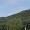 해변의 바람 이미지