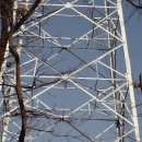 삼죽면사무소 이미지