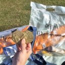 평화 | 25년 손기정평화마라톤 후기