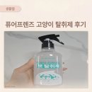 더갤럭시펫 | 퓨어프렌즈 고양이탈취제 사용 후기, 직접 뿌려도 안심되는 이유