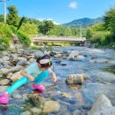 솔향수목원(제3주차장) 이미지