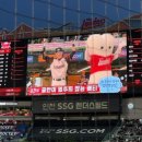 만땅PC방 | SSG 랜더스 섬곤전 1루 프렌들리존에서 본 후기