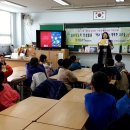 숲속초교 이미지