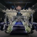 더지펠리체웨딩