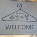 스윙마젤고창