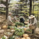유달산숯불장어 | 8월 제철음식 맛집 여행 추천 | 지역별 해산물과 봄나물 가격·코스 총정리
