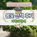 홍천 수타사 생태숲 봄꽃 산책 후기