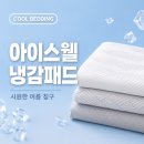 아이스웰 | [내돈내산] 쿠팡 평점 폭발한 아이스웰 냉감패드 솔직후기: 시원하긴 한데... 60cm 높이 침대에서 추락...