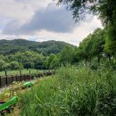 2025.07.22(화요일) 굿 모 닝 !! **논산훈련소장 정봉욱 소장** 이미지