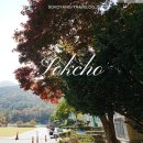 설악초등학교 이미지