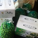 순창토종매실 이미지