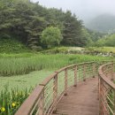 바람소리새소리 이미지