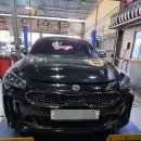 할렐루야타이어전문정비 | 스팅어 브레이크패드 교체｜상신 하드론 장착 후기 – 타이어쿡 김해점 전문 정비