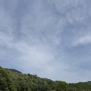(주)베네스트 | 26년 봄 상태굿 안성베네스트cc 후기(회원제-서북코스)