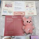 카뷰티하우스 | 10월말 11월초 성수 팝업 방문후기(바이오던스, 구찌뷰티하우스, 라부르켓, 3CE, 오숑의 티하우스...