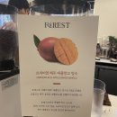 신스포레스트 이미지