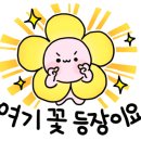 치동초등학교