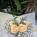 영플라워 | 전국 꽃배달이라 더 믿음 갔던 관저동꽃집 영플라워샵 후기