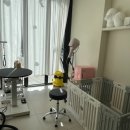 마이유어펫살롱 이미지