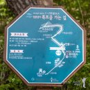 솔숲길 이미지