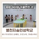 [증평] 별천지숲인성학교(물감놀이체험, 실내놀이터) | 증평, 청주 아이와 가볼만한 곳