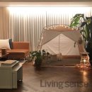 스타피드 이미지