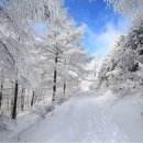 정선 백운산 마천봉~~운탄고도(2월19일) 이미지