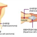로즈맘산부인과 이미지