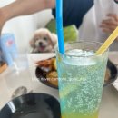 선흘정류장 이미지