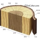 사부 이미지