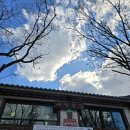 [전주] 한옥마을 찻집 &#39;예담찻집&#39; 내돈내산 후기, 쌍화차