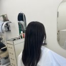 얼레빗 | 세종 나릿재마을 1인미용실 [얼레빗] 여자커트 후기
