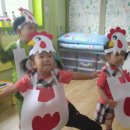 꼬꼬야놀자 Daum카페