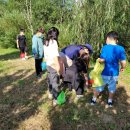 매송초등학교 이미지