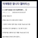 디시땡
