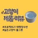 태평양 | 고양이 용품 : 고양이 물그릇 프로젝트21 태평양수반 후기
