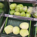 오월희망의원 이미지