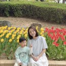 프로젝트 멍 이미지