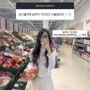 2026ss 라벨르블랑 여름 오픈리스트 스포 목록